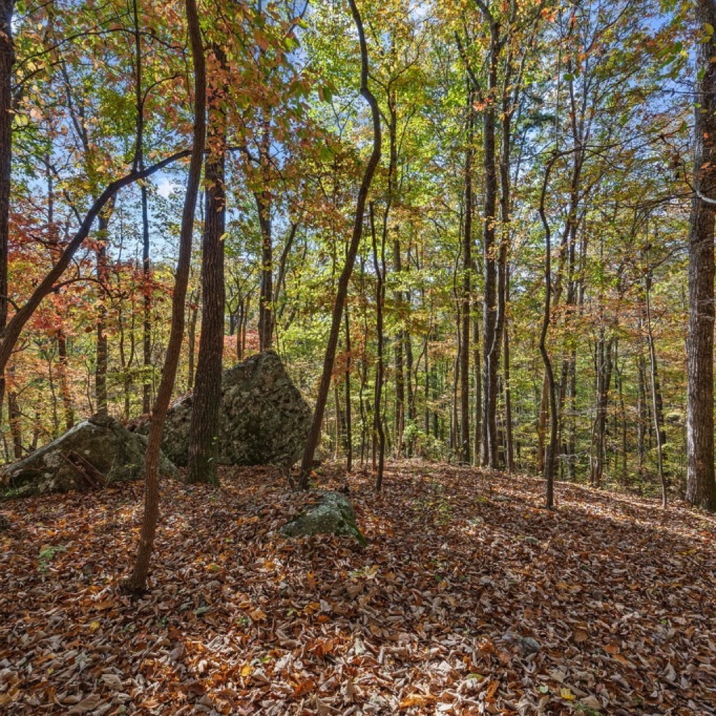 13-web-or-mls-421-constellation-trail-2-2